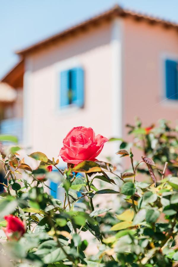 Alexandros Apartments Nydri Εξωτερικό φωτογραφία